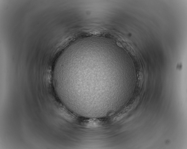 X0000097660612200803142133