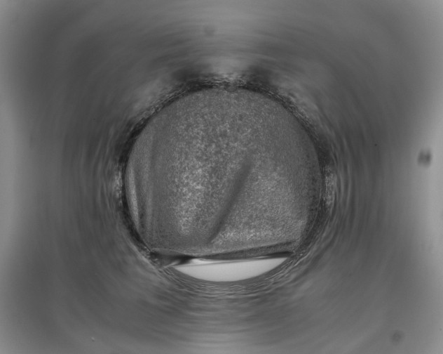X0000097660613200803142133