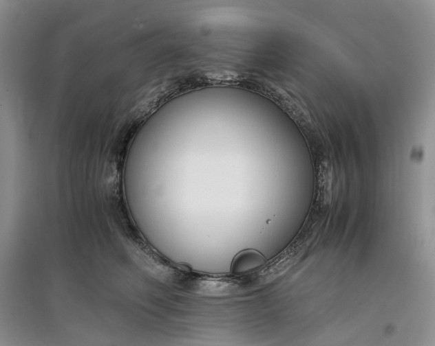 X0000097660614200803142133