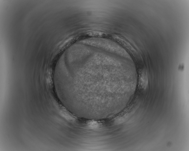 X0000097660616200803142133
