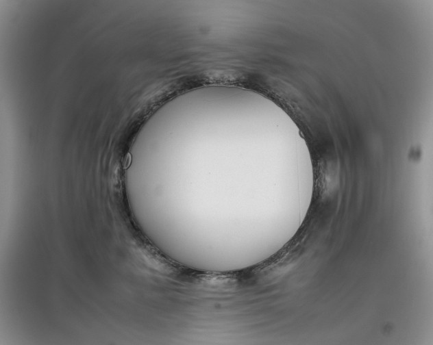 X0000097660619200803142133