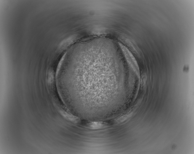 X0000097660623200803142133