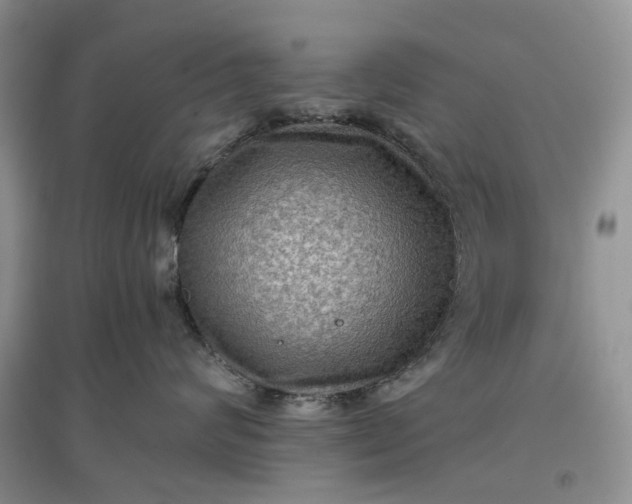 X0000097660624200803142133