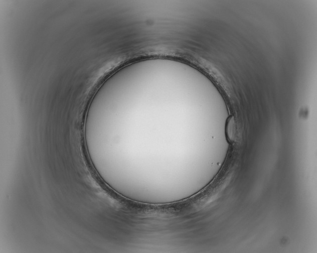 X0000097660625200803142133