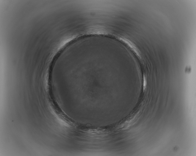 X0000097660627200803142133