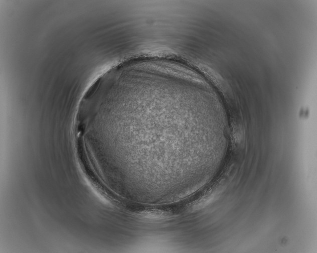 X0000097660630200803142133