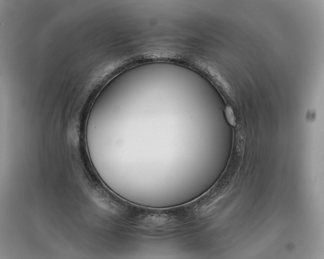 X0000097660631200803142133