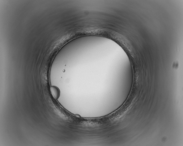 X0000097660633200803142133