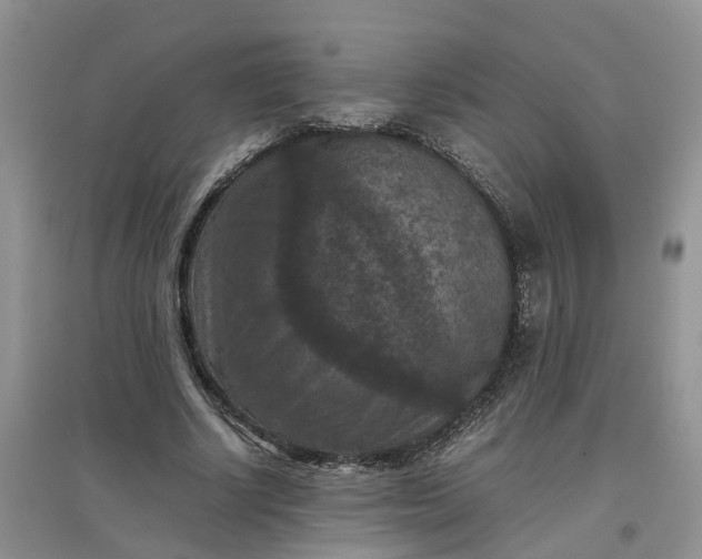 X0000097660634200803142133