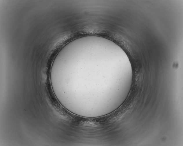 X0000097660635200803142133