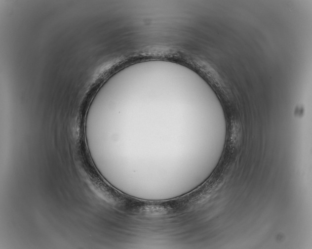 X0000097660636200803142133