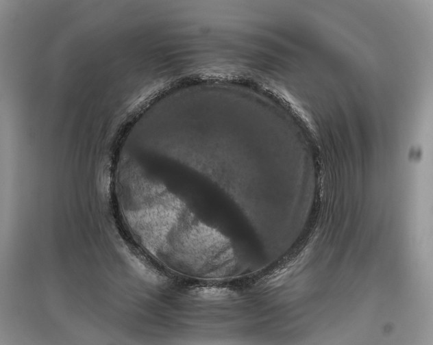 X0000097660637200803142133