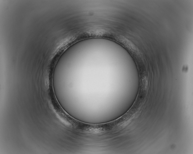 X0000097660638200803142133