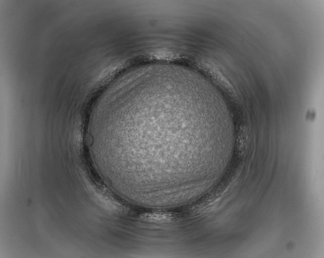 X0000097660639200803142133