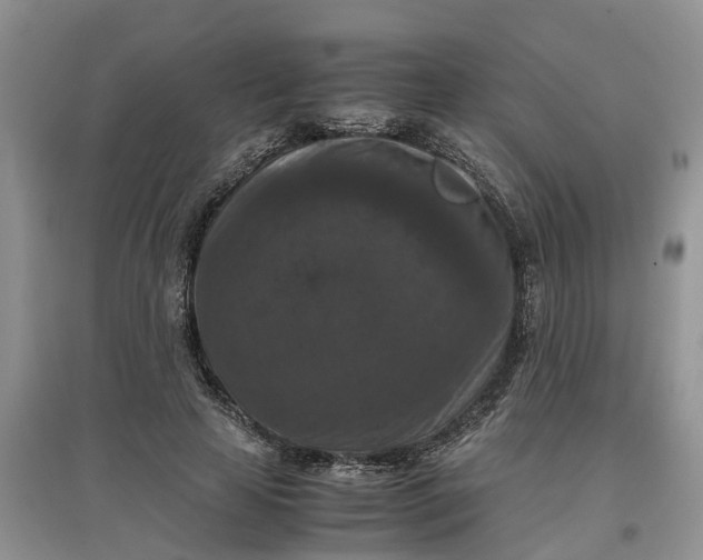X0000097660641200803142133