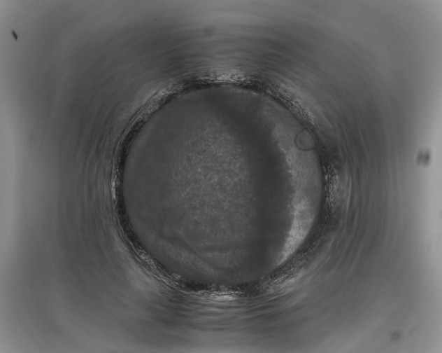 X0000097660643200803142133
