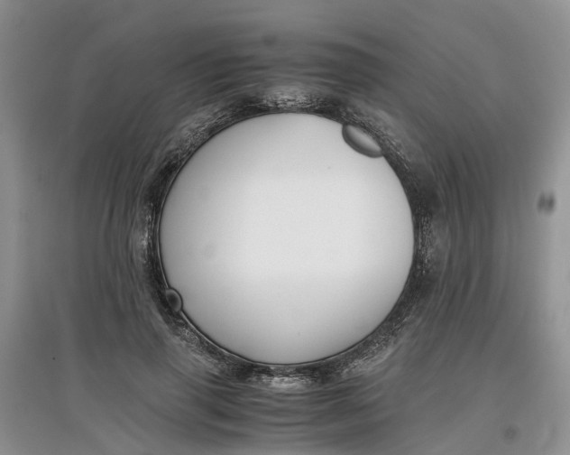 X0000097660645200803142133
