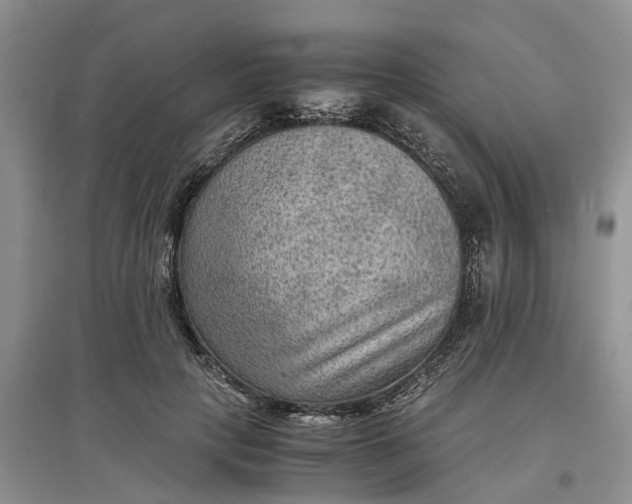 X0000097660649200803142133
