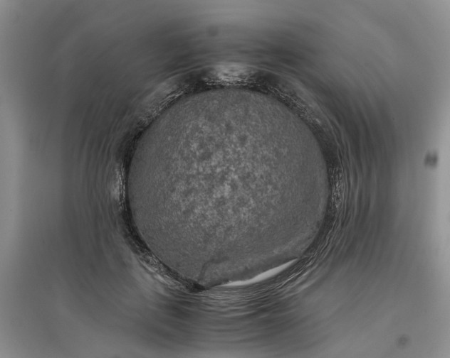 X0000097660651200803142133