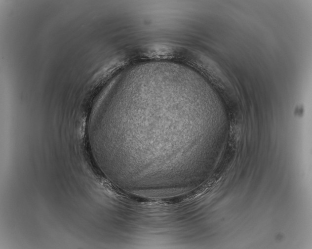 X0000097660652200803142133