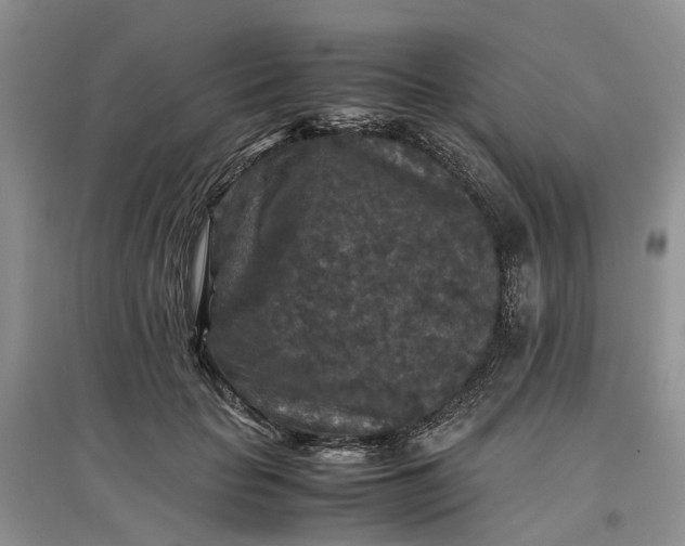 X0000097660653200803142133