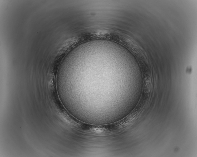 X0000097660654200803142133