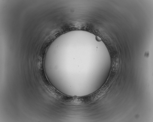 X0000097660656200803142133
