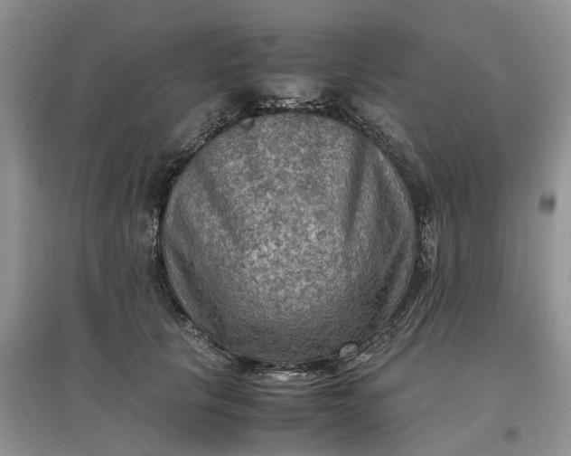 X0000097660657200803142133