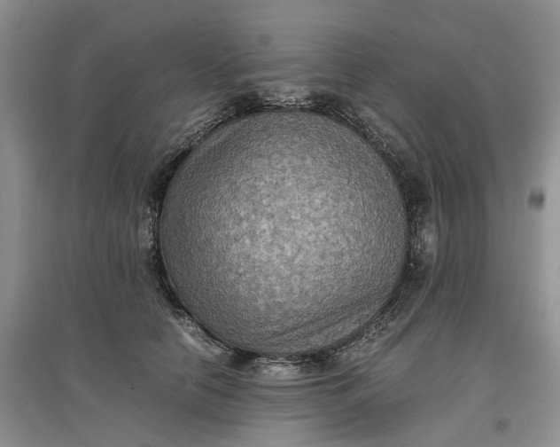 X0000097660658200803142133