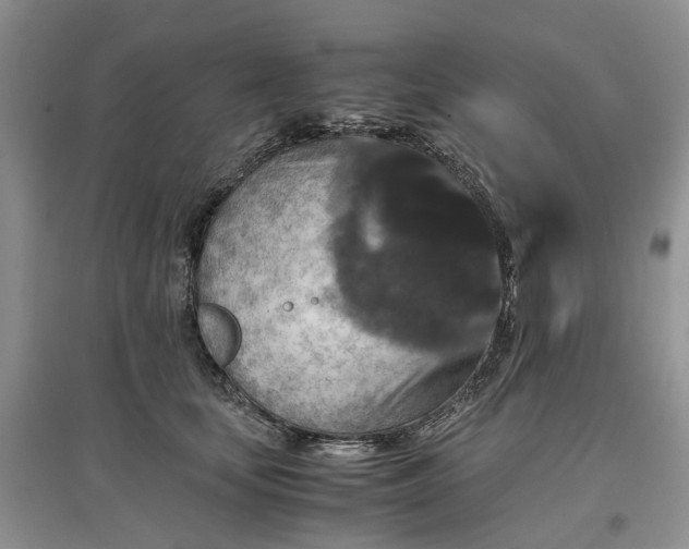 X0000097660659200803142133