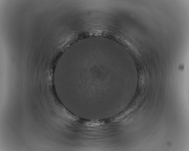 X0000097660661200803142133