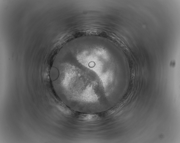 X0000097660663200803142133