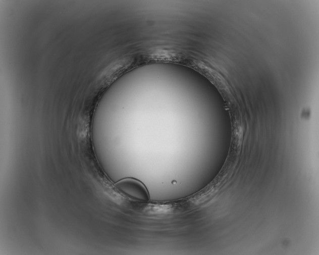 X0000097660665200803142133