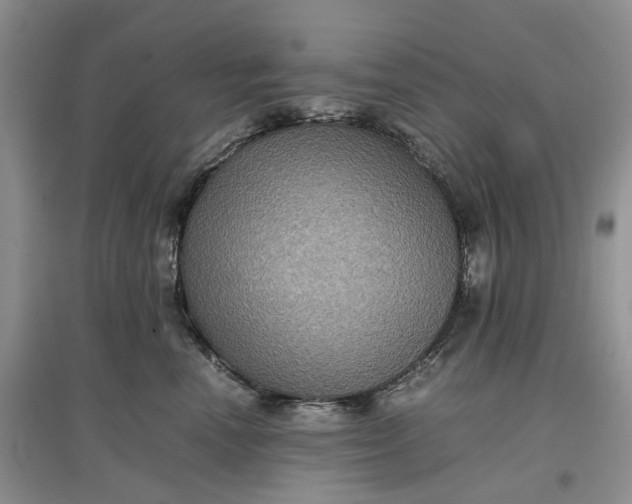 X0000097660666200803142133