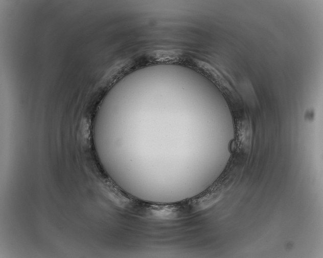 X0000097660667200803142133