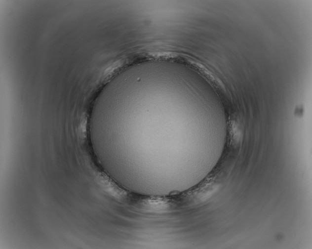 X0000097660668200803142133