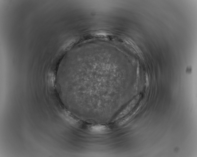 X0000097660669200803142133