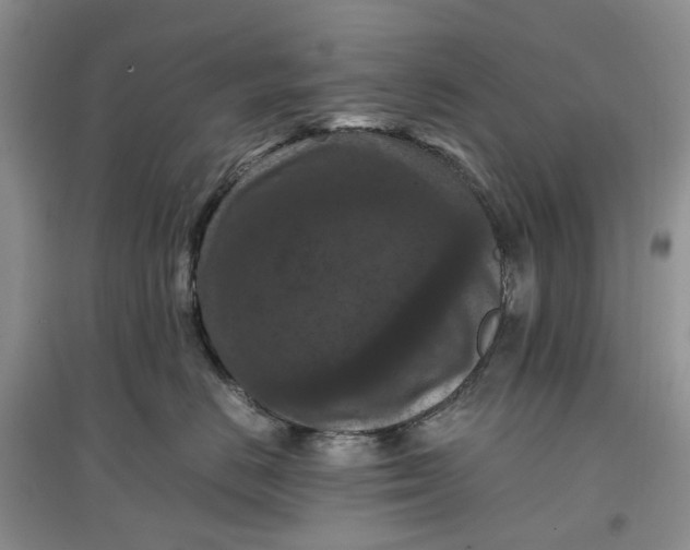 X0000097660670200803142133