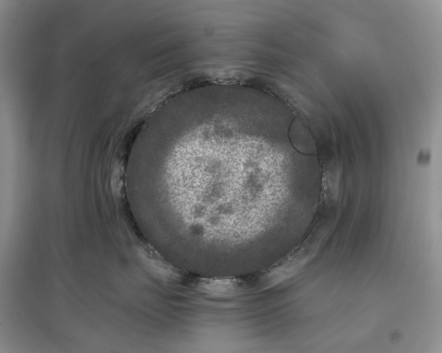 X0000097660671200803142133