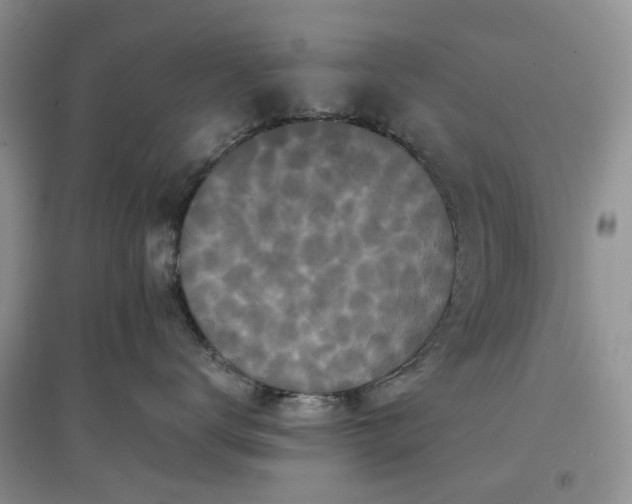 X0000097660672200803142133