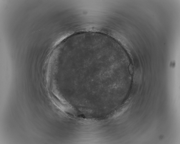 X0000097660673200803142133
