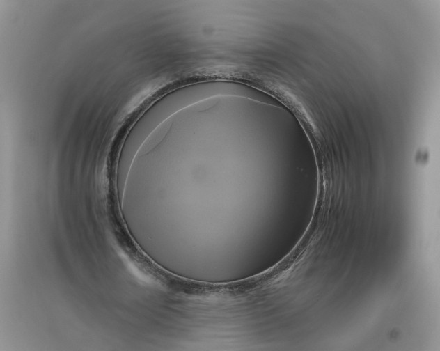 X0000097660674200803142133