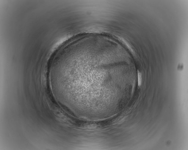 X0000097660675200803142133