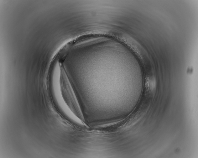 X0000097660676200803142133