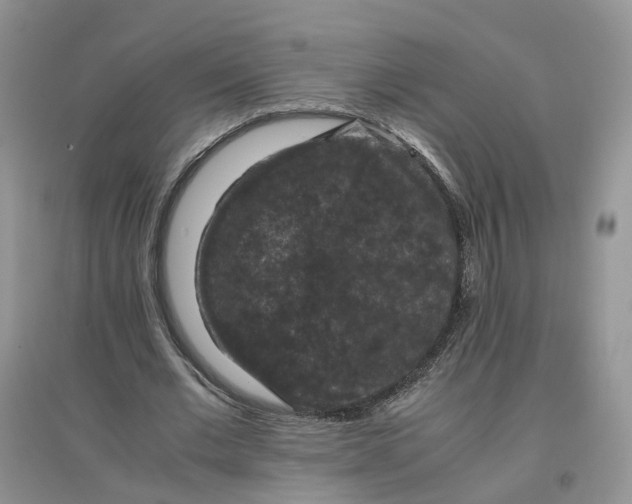 X0000097660677200803142133