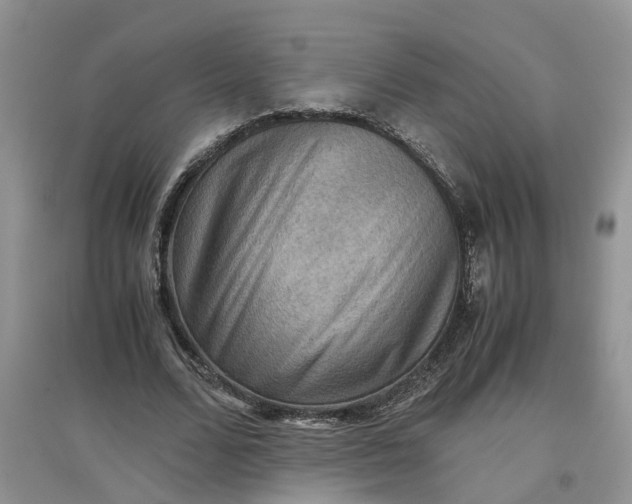 X0000097660680200803142133