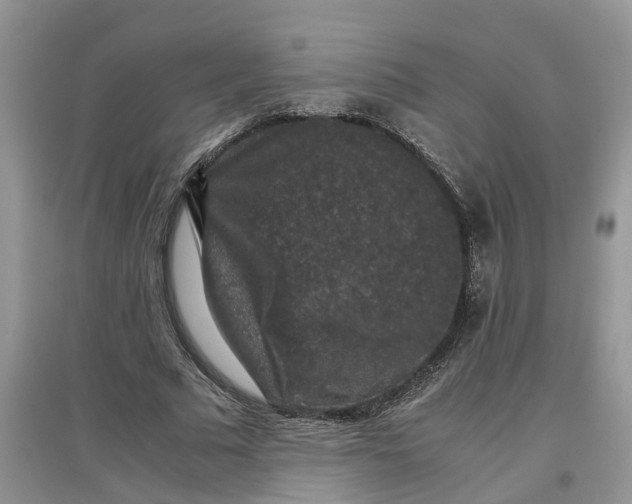 X0000097660681200803142132