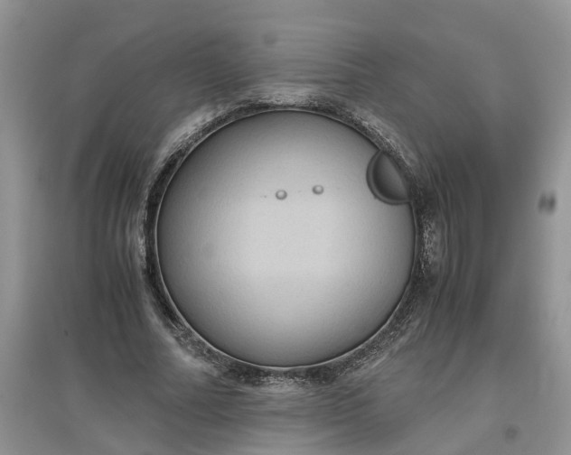 X0000097660682200803142132