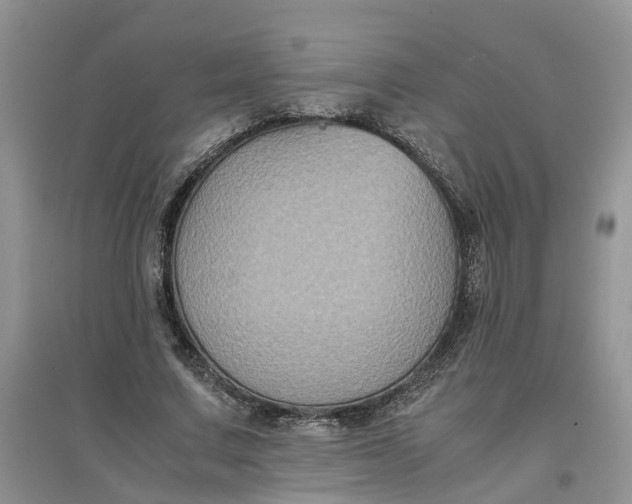 X0000097660683200803142132