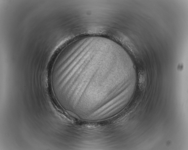 X0000097660684200803142132
